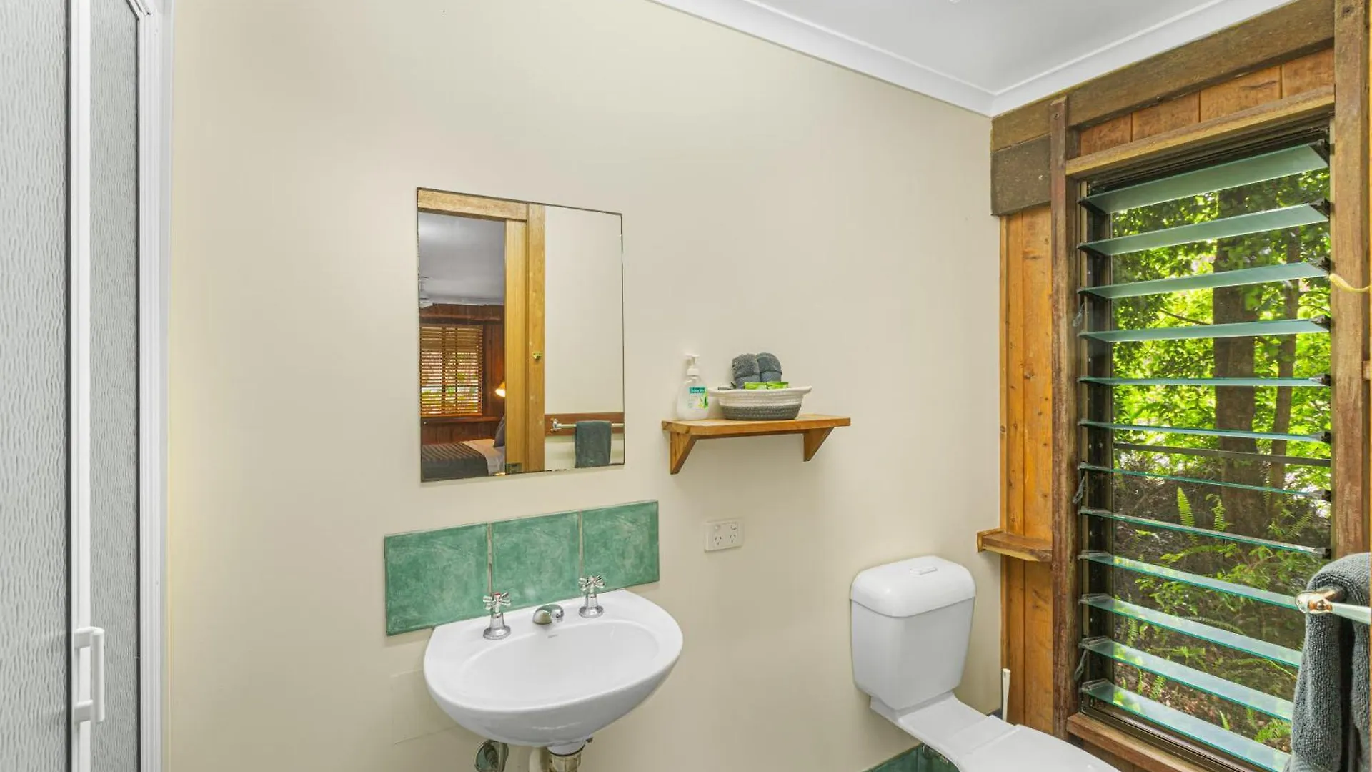 Atherton Blue Gum